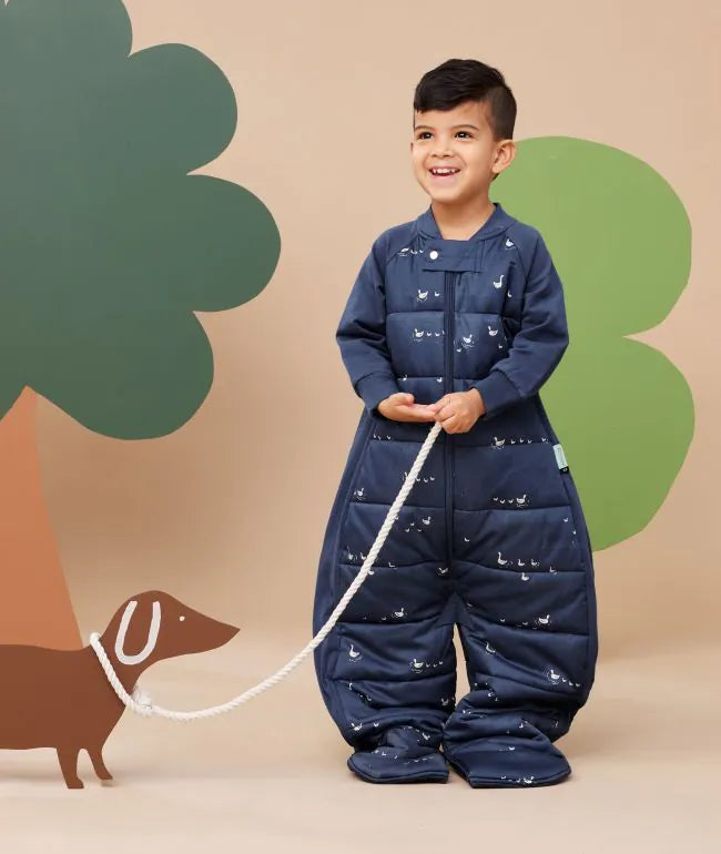 Ergopouch 2.5 tog sleepsuit hot sale