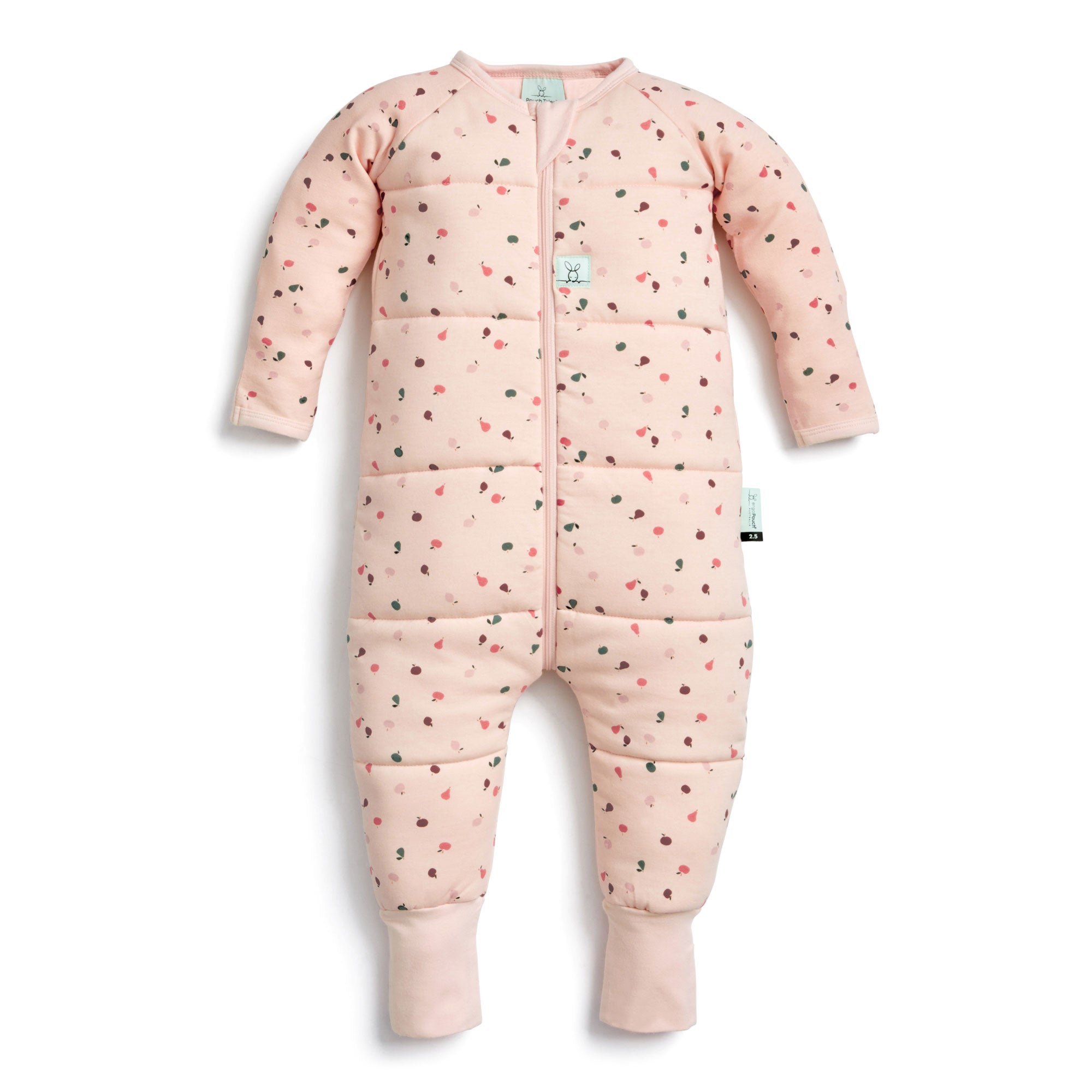 2 Ergopouch 2.5 sleep online onesie